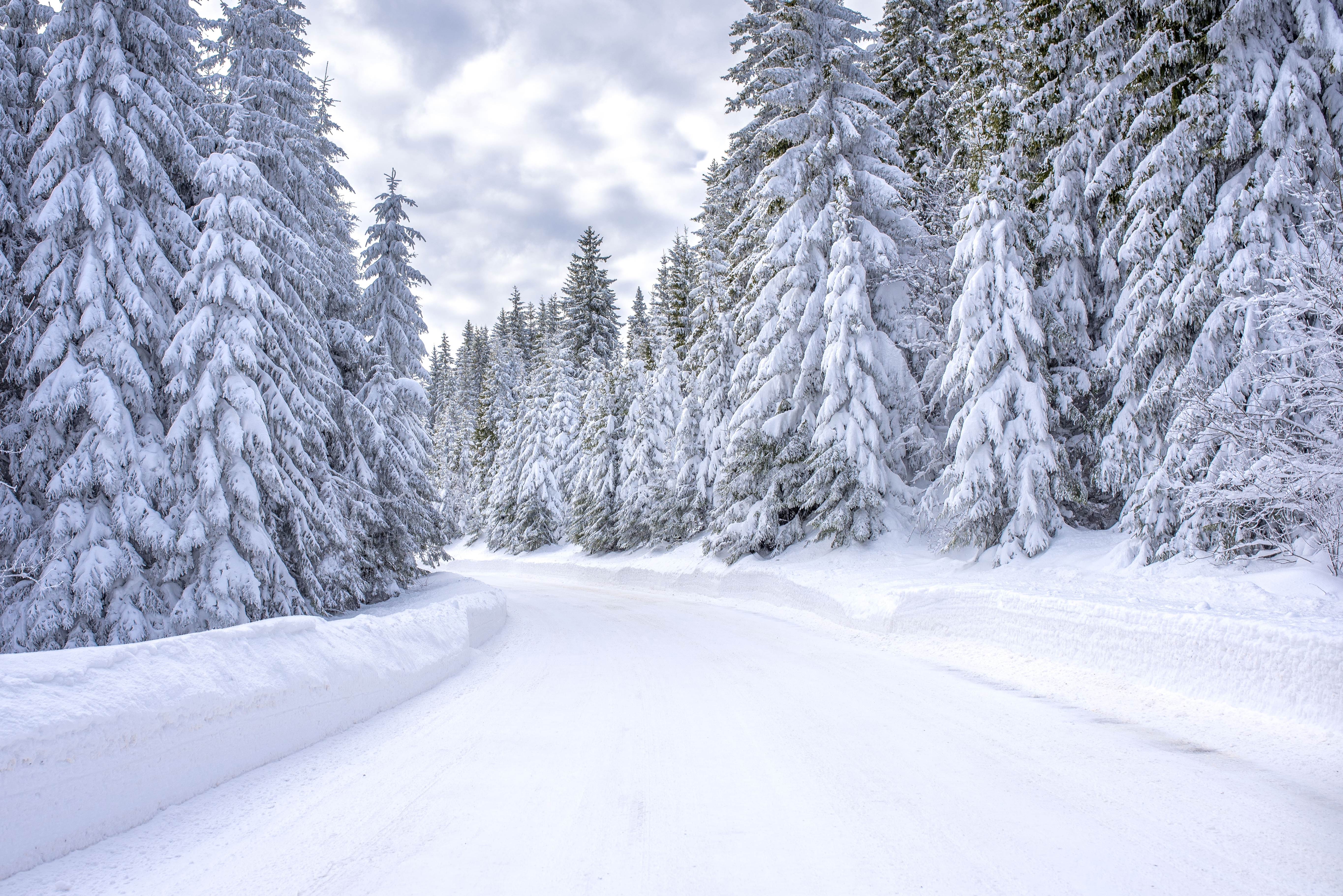 road-mountain-ski-resort-surrounded-by-fir-trees.jpg