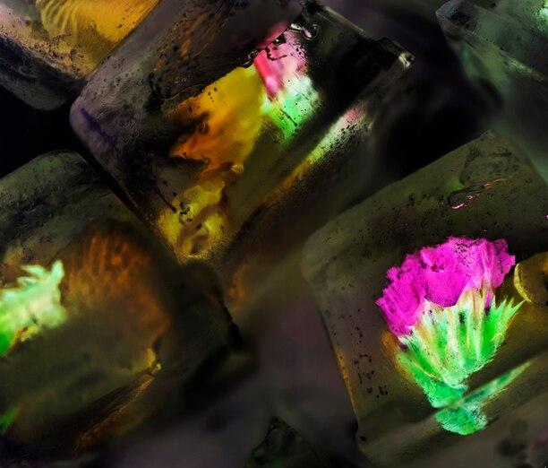 closeup-flowers-inside-ice-cubes-negative-effect_53876-95171_1.jpg
