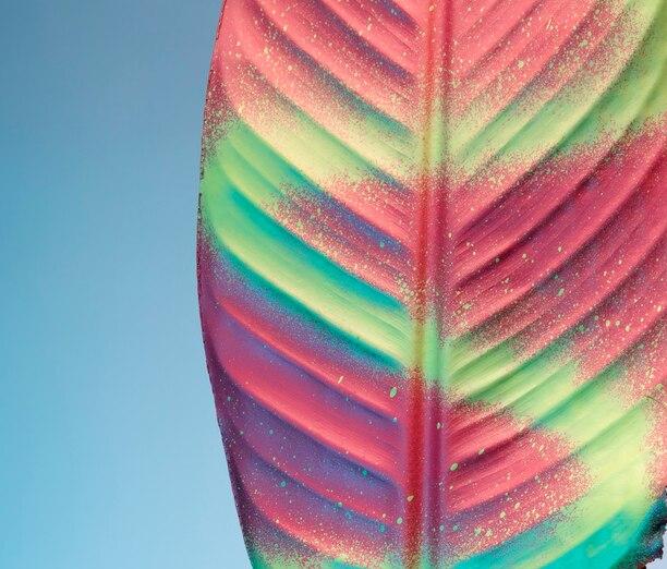colorful-exotic-leaf-close-up_23-2149293022_1.jpg